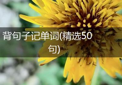 背句子记单词(精选50句)