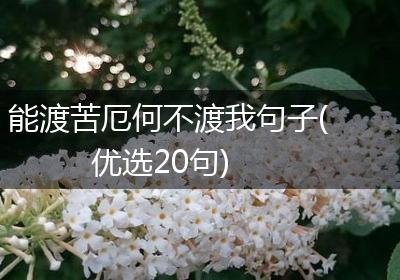能渡苦厄何不渡我句子(优选20句)