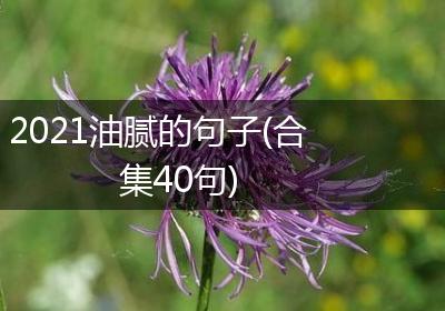 2021油腻的句子(合集40句)