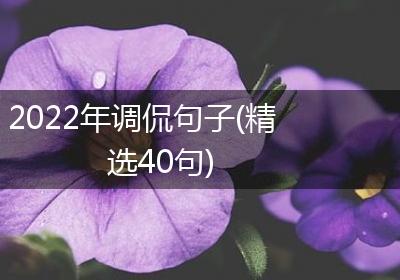 2022年调侃句子(精选40句)