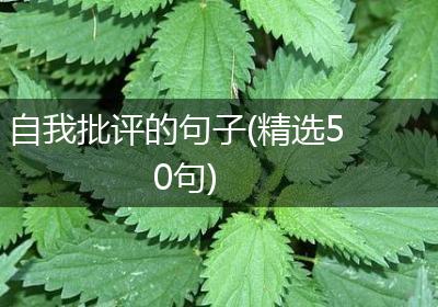 自我批评的句子(精选50句)