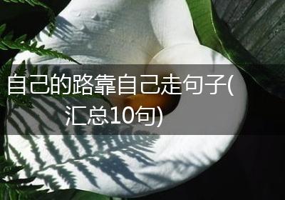 自己的路靠自己走句子(汇总10句)