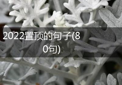 2022置顶的句子(80句)