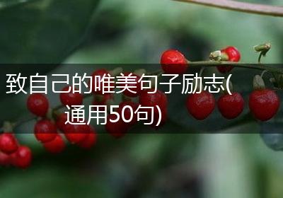 致自己的唯美句子励志(通用50句)