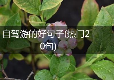 自驾游的好句子(热门20句)