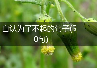 自认为了不起的句子(50句)