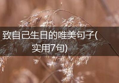 致自己生日的唯美句子(实用7句)