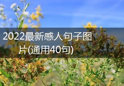 2022最新感人句子图片(通用40句)