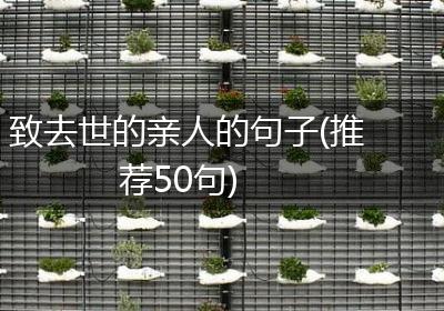 致去世的亲人的句子(推荐50句)
