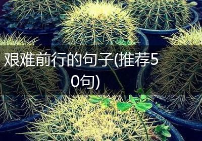 艰难前行的句子(推荐50句)
