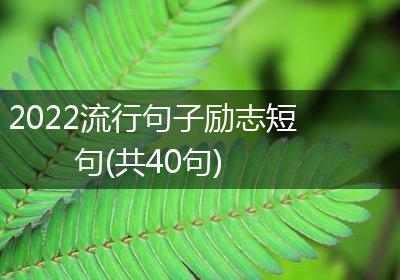 2022流行句子励志短句(共40句)