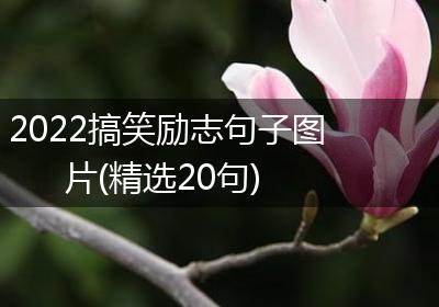 2022搞笑励志句子图片(精选20句)