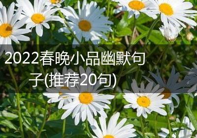 2022春晚小品幽默句子(推荐20句)