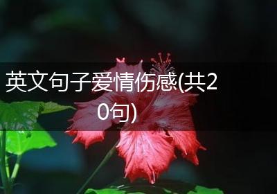 英文句子爱情伤感(共20句)