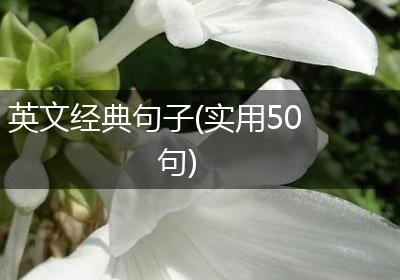 英文经典句子(实用50句)
