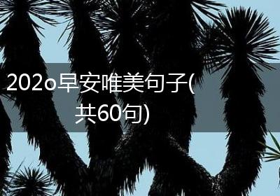 202o早安唯美句子(共60句)