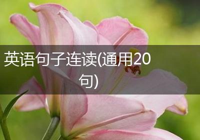 英语句子连读(通用20句)