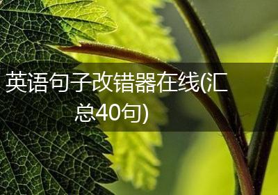 英语句子改错器在线(汇总40句)