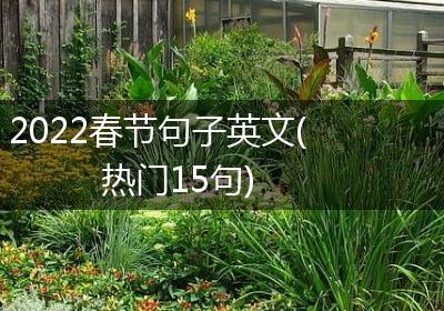 2022春节句子英文(热门15句)