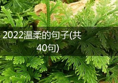 2022温柔的句子(共40句)