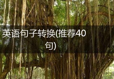 英语句子转换(推荐40句)
