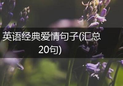 英语经典爱情句子(汇总20句)