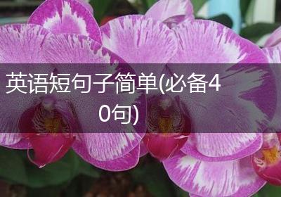 英语短句子简单(必备40句)