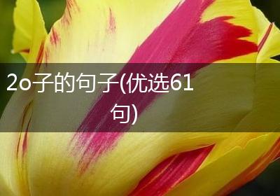 2o子的句子(优选61句)