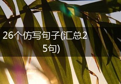 26个仿写句子(汇总25句)