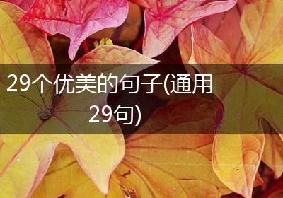 29个优美的句子(通用29句)