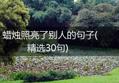 蜡烛照亮了别人的句子(精选30句)