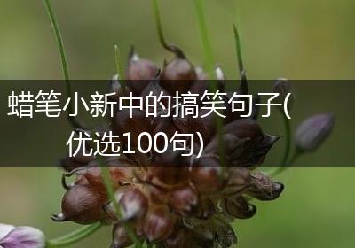 蜡笔小新中的搞笑句子(优选100句)