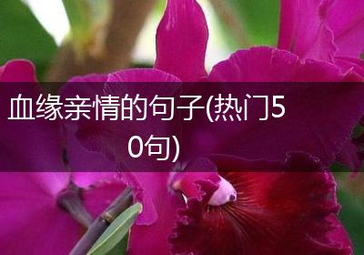血缘亲情的句子(热门50句)