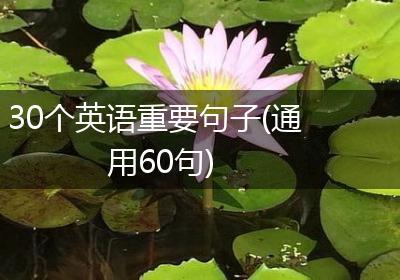 30个英语重要句子(通用60句)
