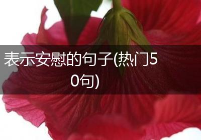 表示安慰的句子(热门50句)