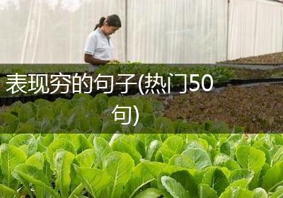 表现穷的句子(热门50句)
