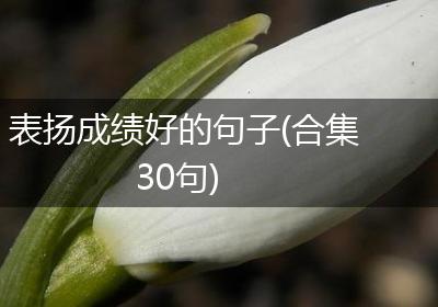 表扬成绩好的句子(合集30句)