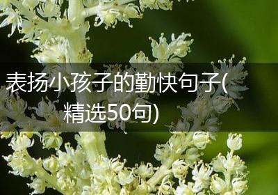 表扬小孩子的勤快句子(精选50句)