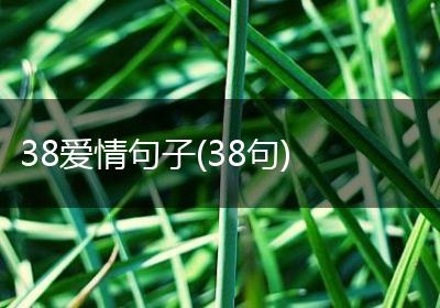 38爱情句子(38句)
