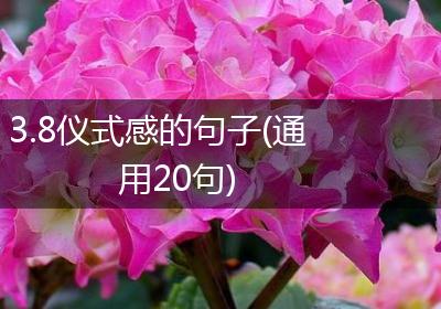 3.8仪式感的句子(通用20句)