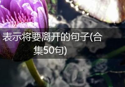 表示将要离开的句子(合集50句)