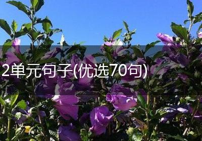 2单元句子(优选70句)