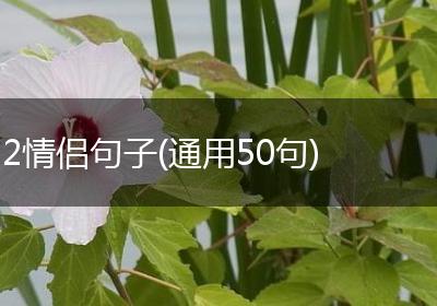 2情侣句子(通用50句)