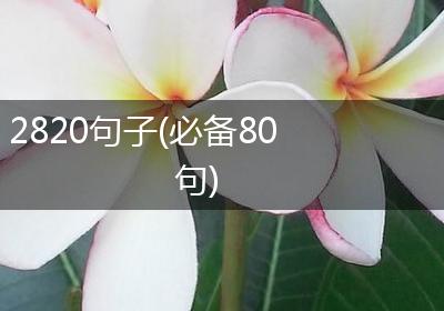 2820句子(必备80句)