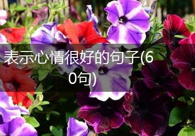 表示心情很好的句子(60句)