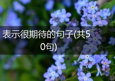 表示很期待的句子(共50句)