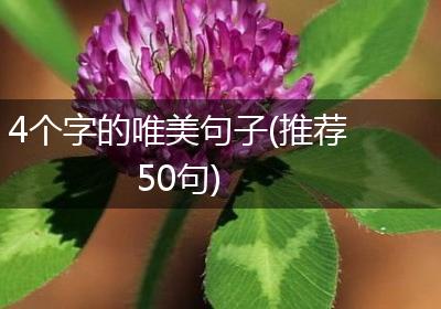 4个字的唯美句子(推荐50句)