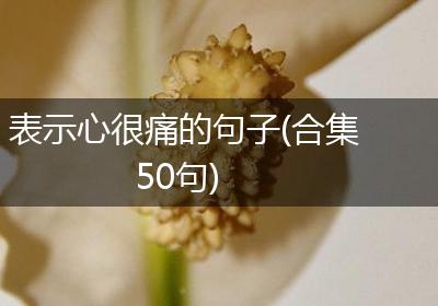 表示心很痛的句子(合集50句)