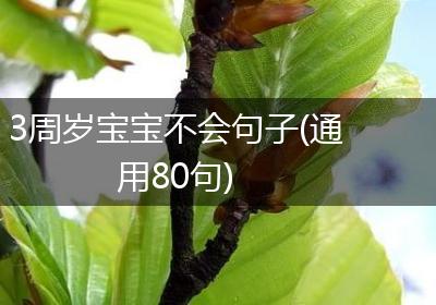 3周岁宝宝不会句子(通用80句)
