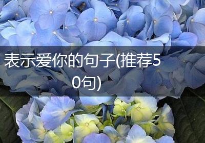 表示爱你的句子(推荐50句)